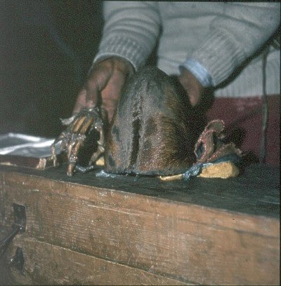 Pangboche Hand