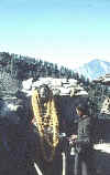 Himachal_Pradesh'60_Sarahan_10.JPG (125061 bytes)
