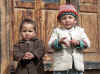Himalaya_Kinnaur_Chitkul_5.JPG (267664 bytes)