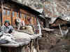 Himalaya_Kinnaur_Chitkul_6.JPG (317659 bytes)