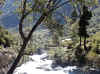Himalaya_Kinnaur_Kafnu_1.JPG (338512 bytes)