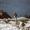Himalaya_Rolwaling_Drolambao_17.jpg (136122 bytes)