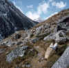 Himalaya_Rolwaling_RipimoShar_2.jpg (185787 bytes)