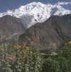 Hunza.Rakaposhi2.jpg (74883 bytes)