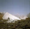 Karakorum_BaltoroGlacier_4.jpg (118616 bytes)
