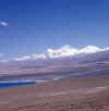 Tibet.PaikuTso3.jpg (45658 bytes)