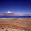 Tibet.PaikuTso4.jpg (52959 bytes)