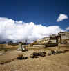 Tibet_Langma_3.jpg (140820 bytes)