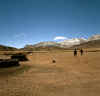 Tibet_Pongba_1.jpg (124655 bytes)