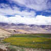 Tibet_Rongxar_3.jpg (130352 bytes)