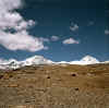 Tibet_ShishaPangma_3.jpg (132470 bytes)