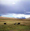 Tibet_Tatsang_1.jpg (107151 bytes)