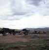 Tibet_Tatsang_2.jpg (74140 bytes)