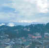 Bengal.Darjeeling.1.jpg (74733 bytes)
