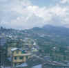Bengal.Kalimpong.jpg (93360 bytes)