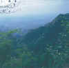 Bengal.Siliguri.North-Kurseong.jpg (88411 bytes)