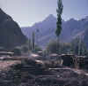 Karakorum.BaltoroAskole1.jpg (48680 bytes)