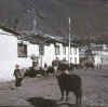 Khumbu.Khumjung1.jpg (59942 bytes)