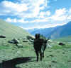 Ladakh_Wari-La_6.jpg (76244 bytes)