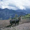 Lapchikang.BiguGompa.jpg (58951 bytes)