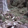 Lapchikang.TinsangLa2.jpg (86972 bytes)