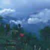 Sikkim.Pemayangtse-Yuksom.jpg (93780 bytes)