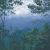 Sikkim.Rangit.Pemayangtse.jpg (122425 bytes)