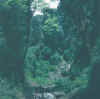 Sikkim.Yuksom-Bakhim.1.jpg (134554 bytes)