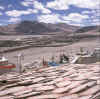 Tibet.TschangthangTsochen1.jpg (67343 bytes)