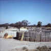 Namibia.Caprivi.Chinchimani.jpg (35300 bytes)
