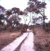 Namibia.Caprivi.Kalambesa.jpg (53091 bytes)