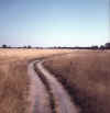 Namibia.Caprivi.Kongola.jpg (31122 bytes)