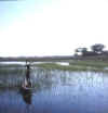 Namibia.Caprivi.Kwando.jpg (24965 bytes)