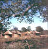 Namibia.Caprivi.Linyanti.jpg (59578 bytes)