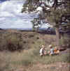 Namibia.DaanViljoen_Kinder.jpg (51343 bytes)