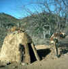 Namibia.KaokoKunene3.jpg (84764 bytes)