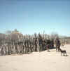Namibia.KaokoSwartbooisdrift1.jpg (49806 bytes)