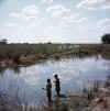 Namibia.Kavango.Mashari1.jpg (63098 bytes)