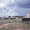 Namibia.Kavango.Mashari3.jpg (60370 bytes)