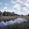 Namibia.Kavango.QuitoOkavango1.jpg (49360 bytes)