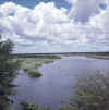 Namibia.Kavango.QuitoOkavango3.jpg (53189 bytes)