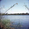 Namibia.Kavango.Rundu1.jpg (66143 bytes)