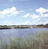 Namibia.Kavango.RunduCalai1.jpg (59360 bytes)