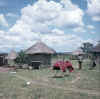 Namibia.Kavango.Tondoro1.jpg (58336 bytes)