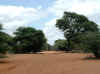 Namibia.Omaheke.Omuramba_Eiseb.Epata.D3825.2.jpg (74323 bytes)