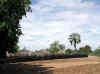 Namibia.Owambo.Ohangwena.Omundudu_2.jpg (80373 bytes)