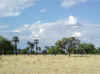 Namibia.Owambo.Omusati.Okahao_1.jpg (64886 bytes)