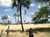 Namibia.Owambo.Omusati.Onesi_1.jpg (106354 bytes)