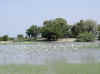 Namibia.Owambo.Omusati.Onesi_4.jpg (77357 bytes)