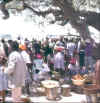 Namibia.Owambo.Ondangwa_Meatmarket2.jpg (49782 bytes)